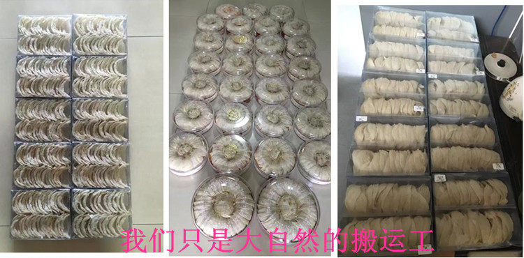 Edible Bird Nest Yan Wo Dry White Nest Strips 100g Natural Swiftlet Nest for Cooking key features