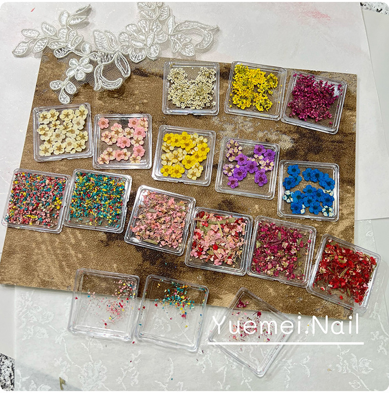 Natural Dried Flower Nail Art Materials, Popular Spring Item, Mixed Color Baby's Breath, DIY Oil Painting Five-Petal Flower Nail Art Dried Flowers Natural Dried Flower Nail Art Materials, Popular Spring Item, Mixed Color Baby's Breath, DIY Oil Painting Five-Petal Flower Nail Art Dried Flowers