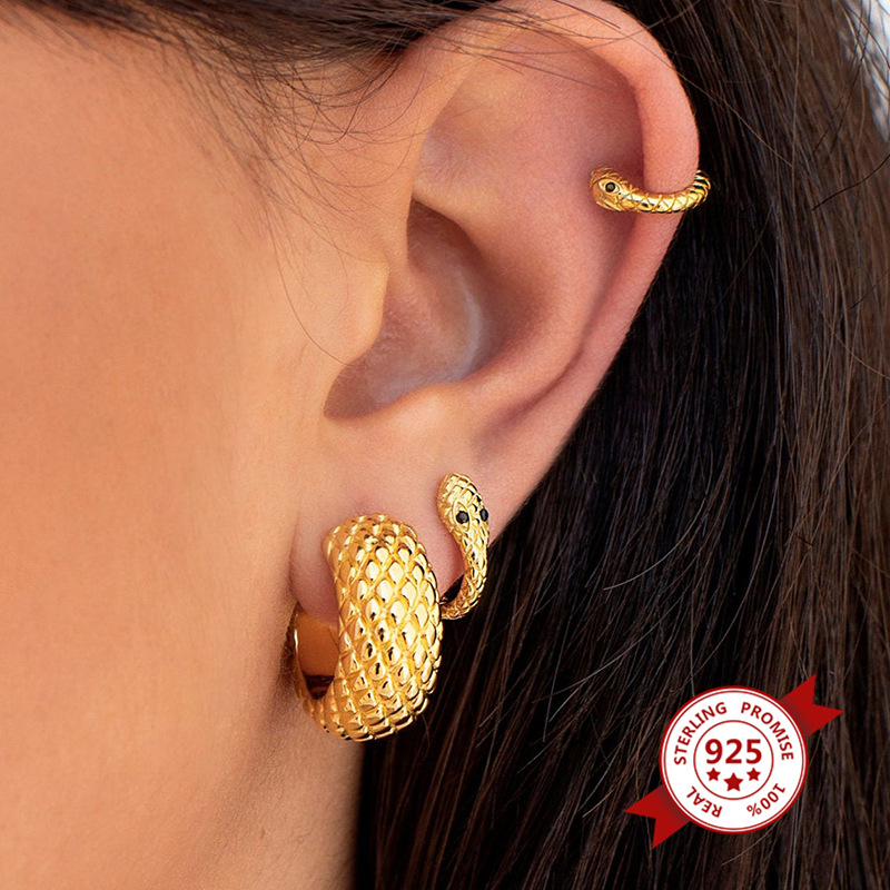 Boucles D&#39;oreilles En Forme De Serpent Simples Créatives Animales Personnalisées De Vente Chaude display picture 3