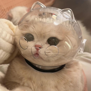 ؈��̫���^�ַ�ҧϴ���ָ�״�ܷ�ץ����؈�^������ɯ��Ȧ