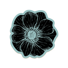 ⮐λܹˮٸ_|PT؉|KĥT|