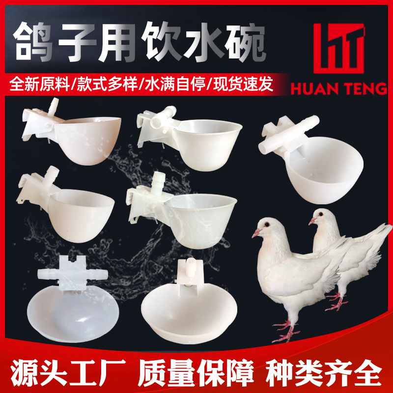 Tazón de agua de la paloma bebedor automático Loro Bird bebedor automático paloma caja de comida caja colgante bebedero