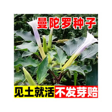 �����_�N��ͥԺ�������Լ�ͥ�̨�Nֲ���ݻ����ݻ��ļ����ܻ��N��