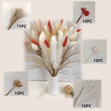 ������С���m��β���JȔ�ɻ������Ĕz����DIY�����b�