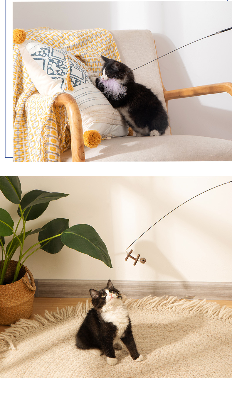 长杆逗猫棒psd_13.jpg