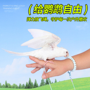 �W�^���w�K�B�ó��p�������L�K��Ƥĵ�����PС̫ꖺ��Б������B�K