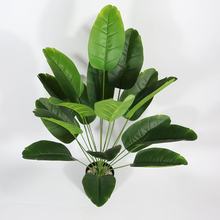 ����ֲ��18�^���˽������B���W��Ž��~�Gֲ�@���b��쾰�٘�羳