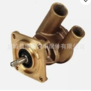Sea Water Pump 10-13286-01 119578-4251 Jpr-Ym06Ly3