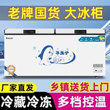 冰柜商用大容量冷藏柜冷冻柜铜管卧式节能冷冻柜单温双温两用雪柜