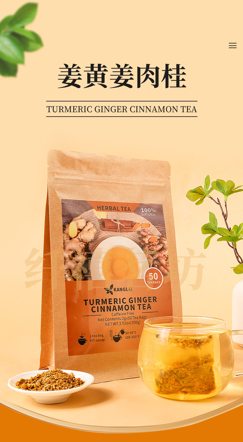 Turmeric Ginger Cinnamon Tea 2g x 50 Teabags Warming Herbal Blend for Daily Brewing overview