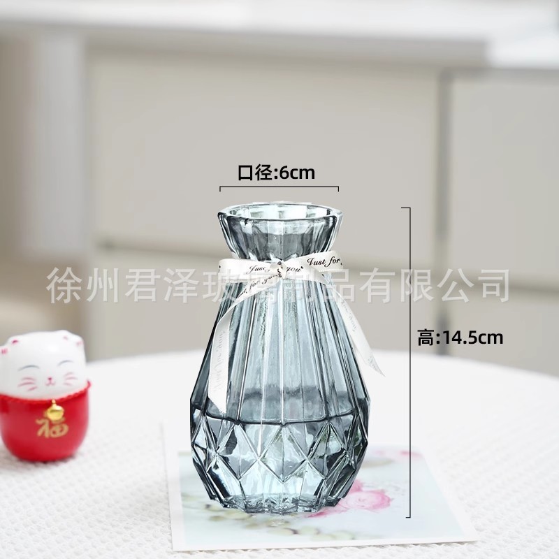 北欧创意透明玻璃花瓶水培绿萝植物干花鲜花插花瓶客厅装饰摆件|undefined