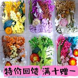 永生花干花材料包香薰蜡烛手工滴胶浮游花材厂家材料包DIY批发花