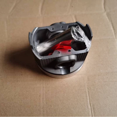 Piston, piston ring, piston pin Suzuki AN250 Burgman