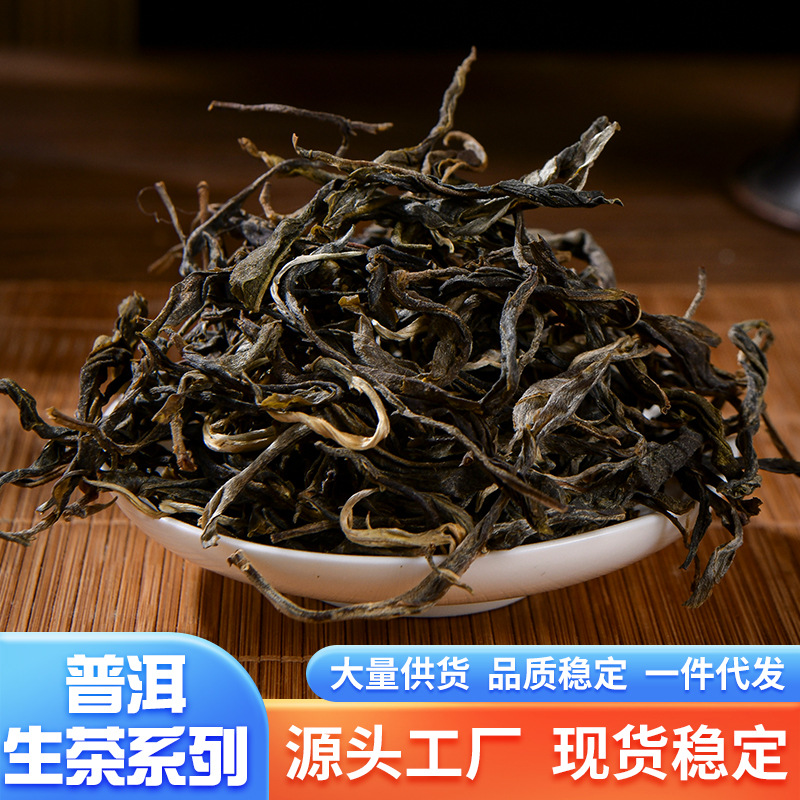 陈香浓郁普洱生茶老茶传统晒青工艺高山生态回甘持久源头厂家直销
