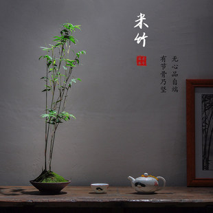 �����҃�����С���Pβ���辰ͥԺ�҃�����Gֲ΢�辰�������^�p��