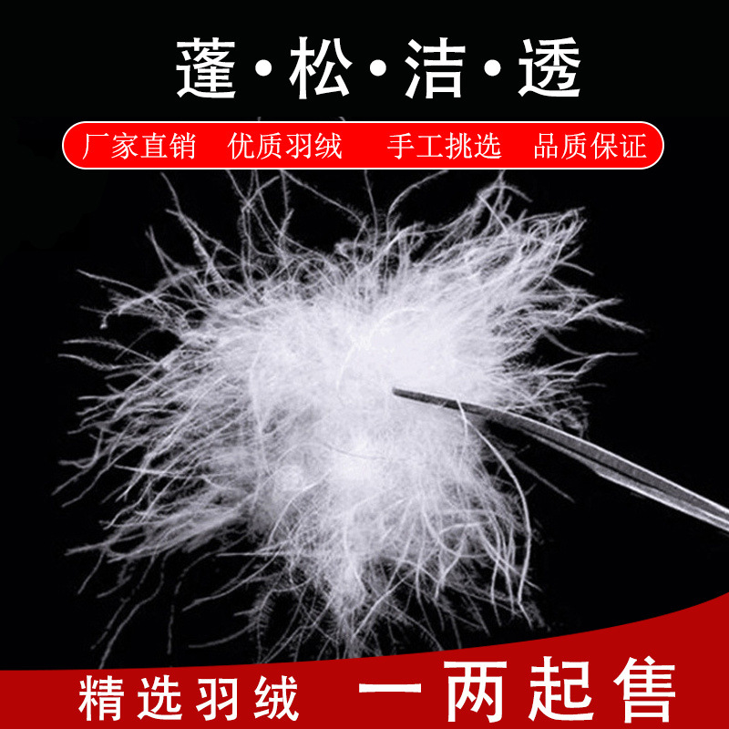 羽绒原材料散装白鸭绒鹅绒大朵羽绒服羽绒被填充物新精品95鸭绒