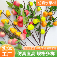 �ٻ������Ҿ��b[��ˮ���Gֲ �������ӆ�֧�@ˇ�����b�������