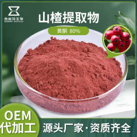 山楂提取物 10：1 山楂粉 山楂黄酮多种规格水性原料食品级