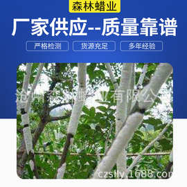 虫白蜡川蜡上光蜡热喷涂蜡块状粉末玉石家具瓷器抛光环保天然打蜡