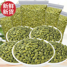 ½̩Ϲ500gbԭζoʿӰb