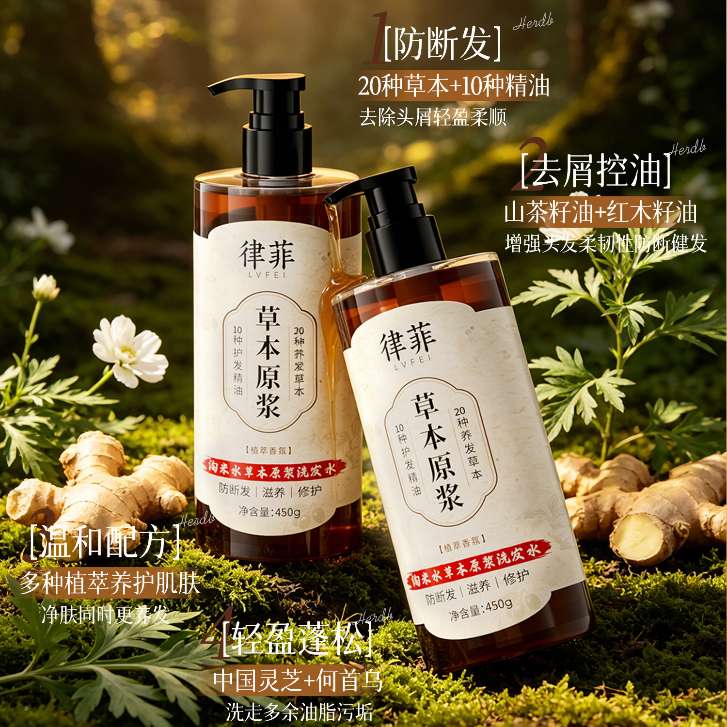 Champú Herbal de Agua de Arroz, Anticaspa, Control de Grasa, Alivio de Picazón para Cabello