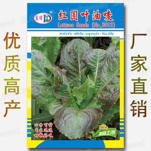�t�A�~�����˷N�� �A�~�t�͇O���� �ļ��A�~�t���� �߲˷N�����l