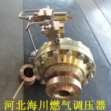 天然气减压阀调压器 燃气调节阀 TARTARINI-FL调压器