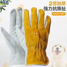 ̩�ς}����ţƤ���׷�؈ץ��ҧ���W�^������ӖȮι����ҧ����