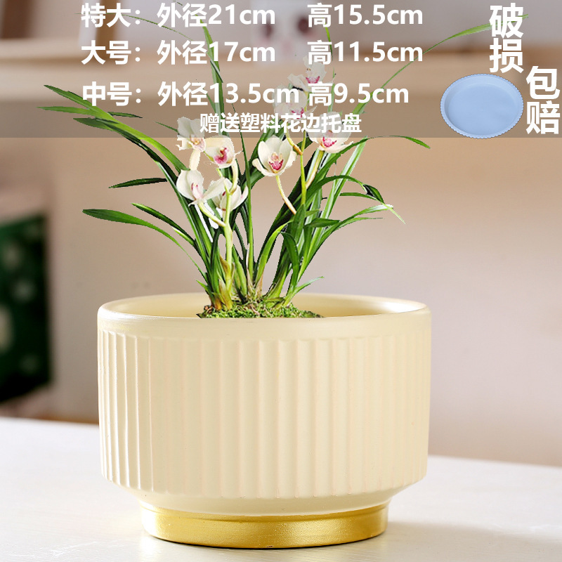 直販の陶器製植木鉢、胡蝶蘭専用鉢、家庭用リビングルーム、一件代発送|undefined