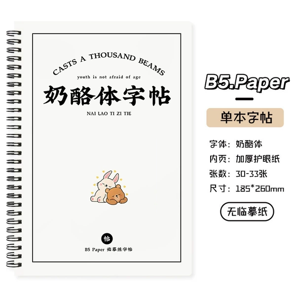 Single copybook [without copy paper]