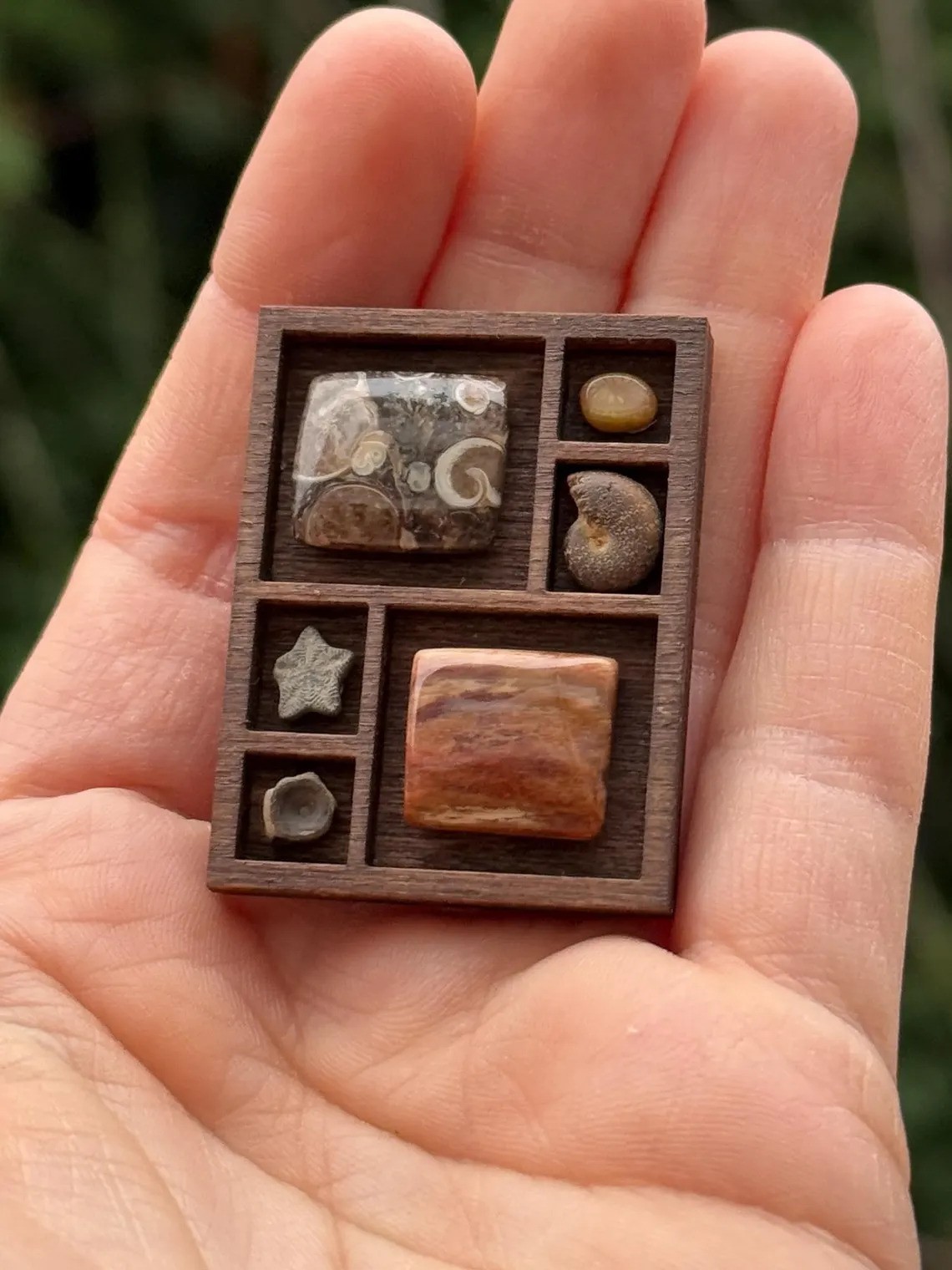 跨境Miniature Trinket Shelf 木质微型饰品架迷你珍藏架古玩架