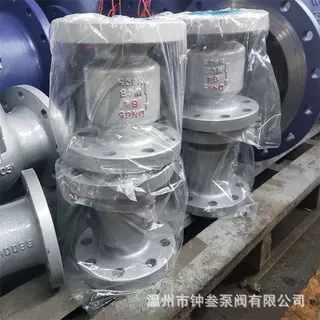 H42W-10P 不锈钢立式止回阀 立式法兰止回阀 法兰连接逆止阀DN125