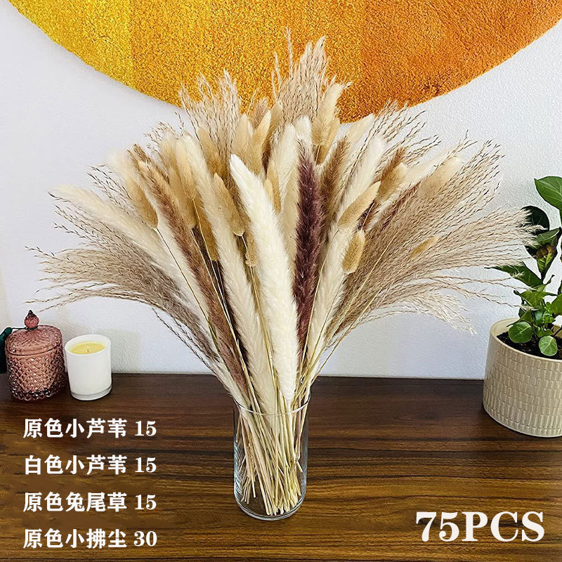 75개들이 상자 조합 1