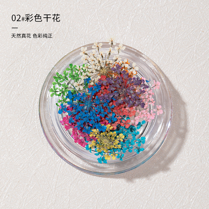 Dried Flower Nail Art Decorations, Colorful Mixed Flower Designs, Lace Five-Petal Flower Nail Decorations, Nail Art Material Kits and Supplies Dried Flower Nail Art Decorations, Colorful Mixed Flower Designs, Lace Five-Petal Flower Nail Decorations, Nail Art Material Kits and Supplies