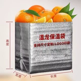 定制加工支持logo印刷加厚立体外卖保温袋铝箔袋大容量保温袋