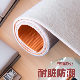 Factory Direct Sales Anti-Slip Carpet Kitchen Entrance Door Stain-Resistant Carpet Commercial Office Large Size Full Coverage Cross-Border