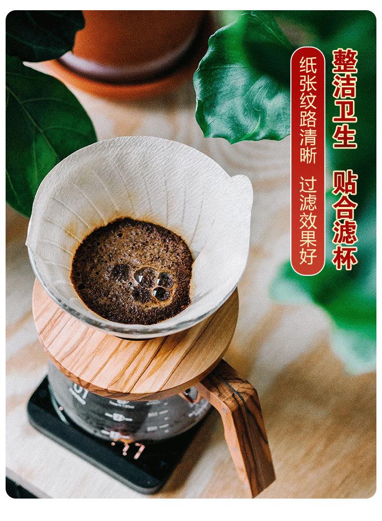 惠莱美家用漂白锥形V602-4人份100枚手冲咖啡粉滴漏过滤纸