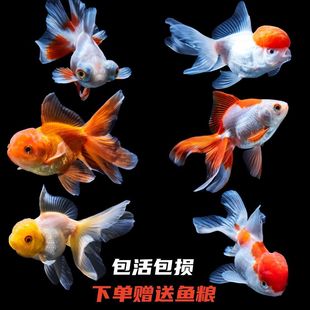 ���{���~��ˮ�^�p��ؔ���B�ͻ�Դ�^�S�ҏS��ֱ�N�羳����վ���uͨ