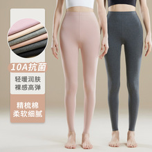 纯棉秋裤秋冬季女内穿紧身弹力大码保暖裤薄款修身棉毛线打底裤