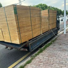 LɳĤ壬tģ壬ľɴ壬F؛ֱN