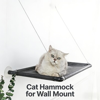 Amazon Hammock sucker window suspension Hanging Cat litter Glass simple and easy Cats rack ventilation comfortable
