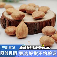 杏仁新货1斤大坚果河北承德生熟原味甜杏仁南200一件代发批发