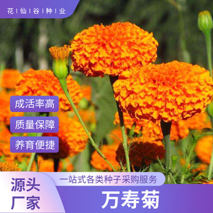 �f�۾ջ��ѷN��Ұ���M�ϻ����L���^����ͥԺ�o�·N��ɫ����������