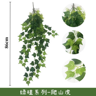 �����ٗl�羳�G�~�ع���������ֲ�����bGֲ��ɽ���ٗl�ڒ�