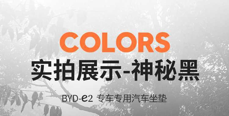 2025 BYD e2 New Energy Electric Vehicle Cushion All Seasons Universal Full Surrounding Leather Seat Cover