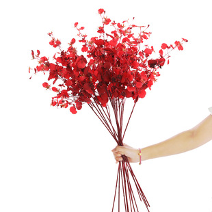 �����m���컨���滨3D��ӡɫ�����ٻ��m�����m�Ҿ��b�c����