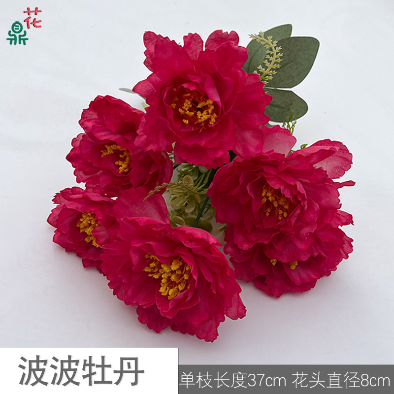 Bobo Peony KXK rose red
