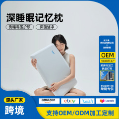 【小蓝枕】Dr Wellnest深睡眠记忆枕可水洗慢回弹枕侧睡零压护颈