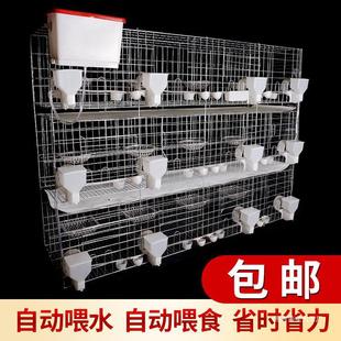 ���ӻ\���������Bֳ�����\��12λ��ֳ�Bֳ��Ʒ���\�\�䌦����