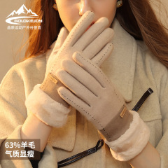 New winter cashmere gloves for women outdoor small fragrance plus velvet thickened warm gloves against cold touch screen DY50
